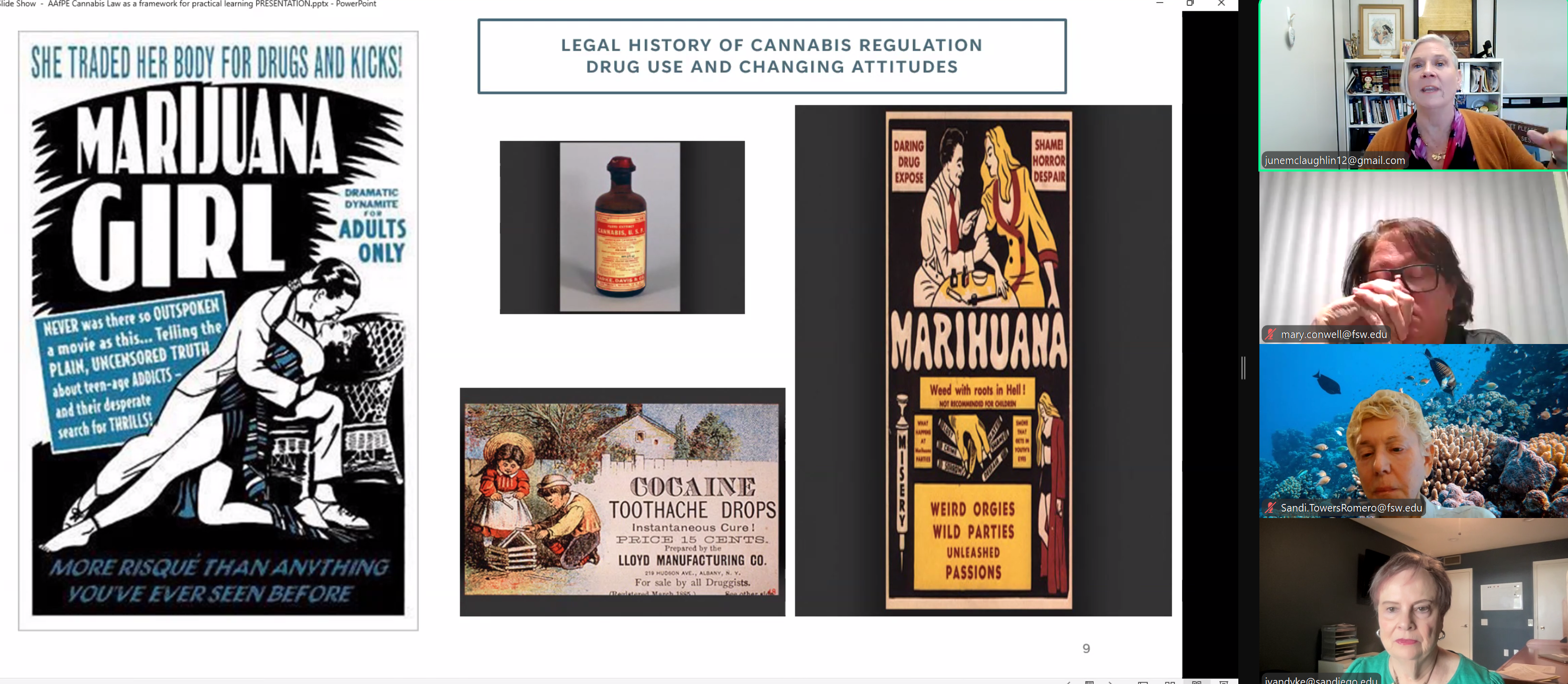 June McLaughlin presenting on Cannabis Law